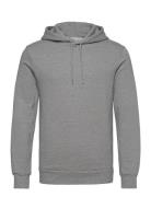 The Organic Hoodie Sweatshirt - J S Tops Sweatshirts & Hoodies Hoodies Grey By Garment Makers