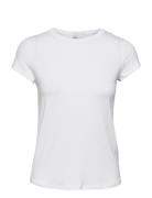 16 The Modal Tee Tops T-shirts & Tops Short-sleeved White My Essential Wardrobe