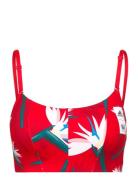 Thebe Magugu Studio Light-Support Bra Sport Bras & Tops Sports Bras - All Red Adidas Performance