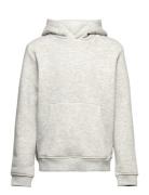 Lars Kids "It's Organic" Hoodie Tops Sweatshirts & Hoodies Hoodies Grey Kronstadt