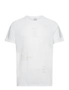 Mftp Tee M Sport T-Kortærmet Skjorte White Adidas Performance
