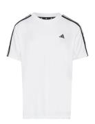 U Tr-Es 3S T Sport T-Kortærmet Skjorte White Adidas Sportswear