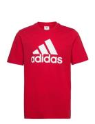 Essentials Single Jersey Big Logo T-Shirt Sport T-Kortærmet Skjorte Red Adidas Sportswear