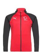 Teamliga Training Jacket Sport Sweatshirts & Hoodies Sweatshirts Red PUMA