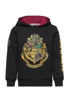 Sweat Tops Sweatshirts & Hoodies Hoodies Black Harry Potter