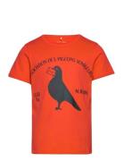 Pigeons Sp Ss Tee Tops T-Kortærmet Skjorte Orange Mini Rodini
