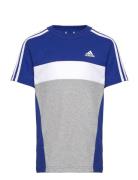 J 3S Tib T Sport T-Kortærmet Skjorte Blue Adidas Sportswear