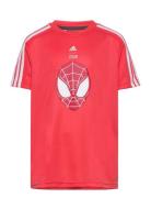 Lb Dy Sm T Sport T-Kortærmet Skjorte Coral Adidas Sportswear