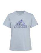 Mystic Nature Graphic T-Shirt Tops T-shirts & Tops Short-sleeved Blue Adidas Sportswear