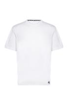 Yoga Base Tee Sport T-Kortærmet Skjorte White Adidas Performance