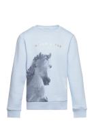 Artwork Sweatshirt Tops Sweatshirts & Hoodies Sweatshirts Blue Tom Tailor