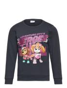 Nmfoditte Pawpatrol Sweat Bru Cplg Tops Sweatshirts & Hoodies Sweatshirts Navy Name It