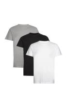 Elon Organic/Recycled 3-Pack T-Shirt Tops T-Kortærmet Skjorte White Kronstadt