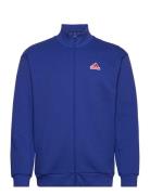 M Fi Bos Tt Oly Sport Sweatshirts & Hoodies Sweatshirts Blue Adidas Sportswear