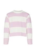 Vm Lla Ls Stripe Cropped Top Jrs Girl Tops T-shirts Long-sleeved T-Skjorte Pink Vero Moda Girl