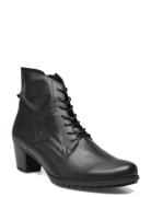 Laced Ankle Boot Shoes Boots Ankle Boots Ankle Boots With Heel Black Gabor