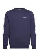 Tape Crewneck Sport Sweatshirts & Hoodies Sweatshirts Navy Lyle & Scott Sport