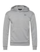 Strength Hoodie 2.0 Sport Sweatshirts & Hoodies Hoodies Grey Reebok Classics