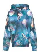 Sweatshirt Hood Aop Ocean Spac Tops Sweatshirts & Hoodies Hoodies Blue Lindex