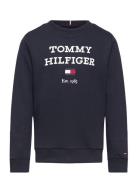 Th Logo Sweatshirt Tops Sweatshirts & Hoodies Sweatshirts Navy Tommy Hilfiger