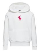 French Knot Big Pony Fleece Hoodie Tops Sweatshirts & Hoodies Hoodies White Ralph Lauren Kids