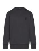 Basic Badge Sweatshirt Tops Sweatshirts & Hoodies Sweatshirts Grey Tom Tailor