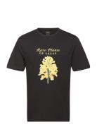 Rare Plants Tee Designers T-Kortærmet Skjorte Black Stan Ray