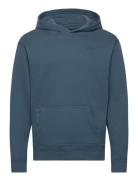 Hco. Guys Sweatshirts Tops Sweatshirts & Hoodies Hoodies Navy Hollister