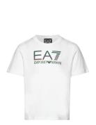 T-Shirt Sport T-Kortærmet Skjorte White EA7