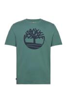 Kennebec River Tree Logo Short Sleeve Tee Sea Pine Designers T-Kortærmet Skjorte Green Timberland