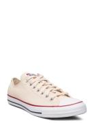 Ctas Ox Natural Ivory Sport Sneakers Low-top Sneakers Beige Converse