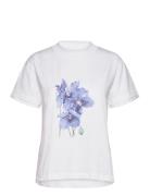 Cwatlanta - T-Shirt Tops T-shirts & Tops Short-sleeved White Claire Woman