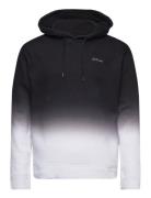 Hco. Guys Sweatshirts Tops Sweatshirts & Hoodies Hoodies Black Hollister