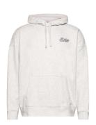 Hco. Guys Sweatshirts Tops Sweatshirts & Hoodies Hoodies Grey Hollister