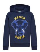 Hooded Sweatshirt Tops Sweatshirts & Hoodies Hoodies Navy Kenzo