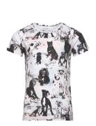 Print T-Shirt Tops T-Kortærmet Skjorte Multi/patterned Gugguu