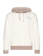 Hco. Guys Sweatshirts Tops Sweatshirts & Hoodies Hoodies White Hollister