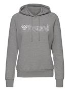 Hmlnoni Hoodie Sport Sweatshirts & Hoodies Hoodies Grey Hummel