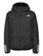 Itavic 3-Stripes Light Hooded Jacket Sport Jackets Padded Jacket Black Adidas Sportswear
