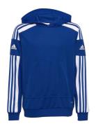 Squadra21 Hoody Youth Sport Sweatshirts & Hoodies Hoodies Blue Adidas Performance