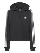 Essentials 3-Stripes French Terry Crop Hoodie Sport Sweatshirts & Hoodies Hoodies Black Adidas Sportswear