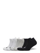 Trefoil Liner Sock 6 Pair Pack Sport Socks Footies-ankle Socks Multi/patterned Adidas Originals