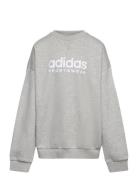 Fleece Crew Sweatshirt Kids Sport Sweatshirts & Hoodies Sweatshirts Grey Adidas Sportswear