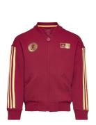 Lk Dy 100 Tt Sport Sweatshirts & Hoodies Sweatshirts Burgundy Adidas Performance