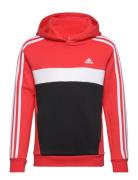 J 3S Tib Fl Hd Sport Sweatshirts & Hoodies Hoodies Red Adidas Sportswear