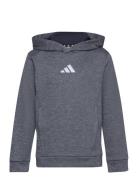 J Hea Hoodie Sport Sweatshirts & Hoodies Hoodies Grey Adidas Performance