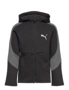 Evostripe Full-Zip Hoodie Dk B Sport Sweatshirts & Hoodies Hoodies Black PUMA