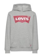 Levi's® Screenprint Batwing Pullover Hoodie Tops Sweatshirts & Hoodies Hoodies Grey Levi's