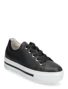 Sneaker Low-top Sneakers Black Gabor