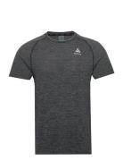 Odlo T-Shirt Crew Neck S/S Essential Seamless Sport T-Kortærmet Skjorte Grey Odlo